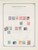 Kavel 1003 (60)