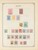 Kavel 1003 (359)