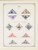 Kavel 1003 (916)
