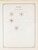 Kavel 1003 (1318)