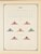 Kavel 1003 (1866)