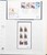 Kavel 3529 (223)