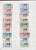 Lot 1306 (50)