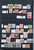 Lot 3282 (36)