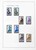 Kavel 1494 (252)