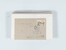 Kavel 2038 (138)