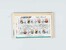 Kavel 2038 (428)