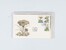 Kavel 2038 (688)