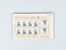 Kavel 2038 (828)