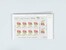 Kavel 2038 (831)