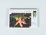 Kavel 2038 (2119)