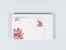 Kavel 2038 (2323)
