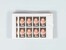 Kavel 2038 (2371)
