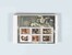 Kavel 2038 (2377)