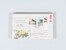 Kavel 2038 (2442)