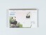 Kavel 2038 (2474)