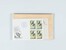 Kavel 2038 (2483)