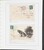 Kavel 2049 (93)