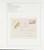Kavel 2049 (243)