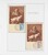 Kavel 2049 (811)