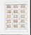 Kavel 2049 (2385)