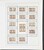 Kavel 2049 (2388)