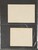 Lot 492 (8)