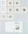 Kavel 513 (81)