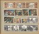 Kavel 497 (2)
