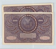 Lot 495