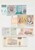 Kavel 498 (2)