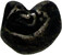 Kavel 458 (6)