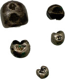 Kavel 459