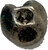 Lot 460 (2)