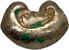 Lot 462 (6)