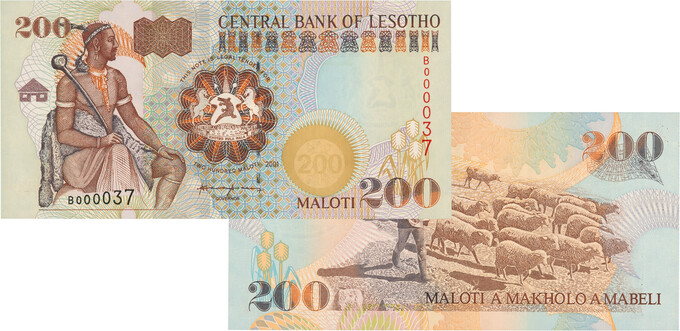 Lot 366