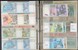 Lot 458 (79)