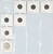 Lot 517 (53)