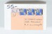 Lot 1411 (446)