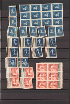 Kavel 2576