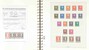 Lot 2508 (29)