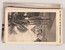 Lot 1477 (19)