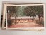 Lot 1477 (21)