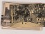Lot 1477 (25)