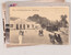 Lot 1477 (37)