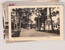 Lot 1477 (38)