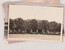 Lot 1477 (39)