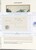 Lot 2437 (91)
