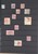 Lot 2443 (5)