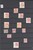 Lot 2443 (12)
